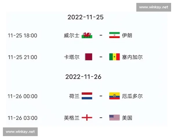 瑞士与厄瓜多尔赛场对决全解析：战术布阵与球员表现深度剖析